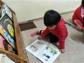 人气：521  上传时间：2018/11/15 8:20:06