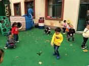 人气：543  上传时间：2018/11/15 8:27:29