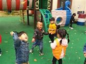 人气：526  上传时间：2018/11/15 8:27:44
