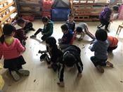 人气：279  上传时间：2018/11/16 14:16:28