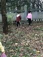人气：262  上传时间：2018/11/16 14:29:11
