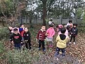 人气：251  上传时间：2018/11/16 14:29:15