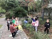 人气：264  上传时间：2018/11/16 14:30:25