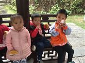 人气：507  上传时间：2018/11/16 14:53:19