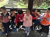 人气：524  上传时间：2018/11/16 14:53:21