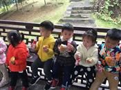 人气：498  上传时间：2018/11/16 14:53:25