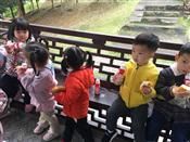 人气：502  上传时间：2018/11/16 14:53:28