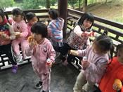人气：498  上传时间：2018/11/16 14:53:29
