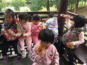人气：514  上传时间：2018/11/16 14:53:31