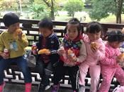 人气：477  上传时间：2018/11/16 14:53:33