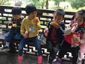 人气：481  上传时间：2018/11/16 14:53:35