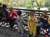 人气：509  上传时间：2018/11/16 14:53:37