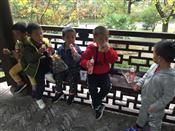 人气：495  上传时间：2018/11/16 14:53:39