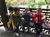 人气：505  上传时间：2018/11/16 14:53:41