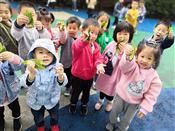 人气：230  上传时间：2018/11/16 15:05:15