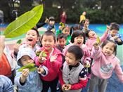 人气：243  上传时间：2018/11/16 15:05:18