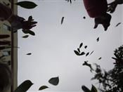 人气：289  上传时间：2018/11/16 15:05:20