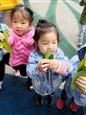 人气：236  上传时间：2018/11/16 15:05:21