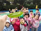 人气：328  上传时间：2018/11/16 15:05:23
