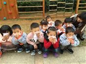 人气：499  上传时间：2018/11/20 16:48:54
