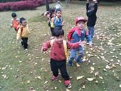 人气：591  上传时间：2018/11/21 16:39:50