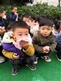 人气：524  上传时间：2018/11/21 7:45:28