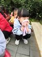 人气：509  上传时间：2018/11/21 7:45:33