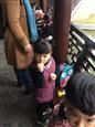 人气：531  上传时间：2018/11/22 13:17:34