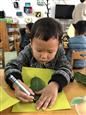 人气：527  上传时间：2018/11/22 8:22:22