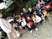 人气：540  上传时间：2018/11/22 10:15:29