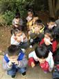 人气：564  上传时间：2018/11/22 10:15:30
