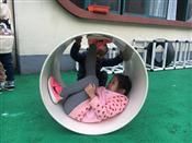 人气：277  上传时间：2018/11/23 13:18:58