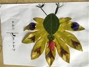 人气：267  上传时间：2018/11/23 14:26:38
