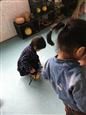 人气：580  上传时间：2018/11/26 7:58:32