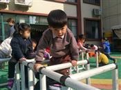 人气：508  上传时间：2018/11/28 7:41:30