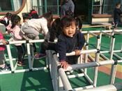 人气：564  上传时间：2018/11/28 7:41:33