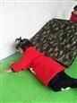 人气：563  上传时间：2018/11/28 7:44:50