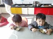 人气：546  上传时间：2018/11/29 16:17:23