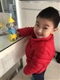 人气：522  上传时间：2018/11/29 16:19:05