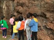 人气：294  上传时间：2018/11/30 13:17:58