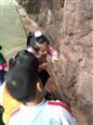 人气：305  上传时间：2018/11/30 13:18:01