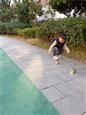 人气：526  上传时间：2018/11/30 13:40:53