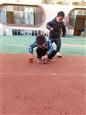 人气：513  上传时间：2018/11/30 13:40:54