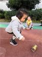 人气：553  上传时间：2018/11/30 13:41:03