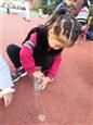 人气：531  上传时间：2018/11/30 13:41:03