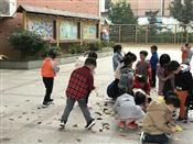 人气：285  上传时间：2018/11/30 13:45:41