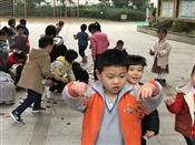 人气：310  上传时间：2018/11/30 13:45:42