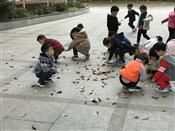 人气：287  上传时间：2018/11/30 13:45:43