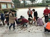 人气：248  上传时间：2018/11/30 13:45:54