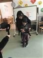 人气：552  上传时间：2018/12/3 15:04:58